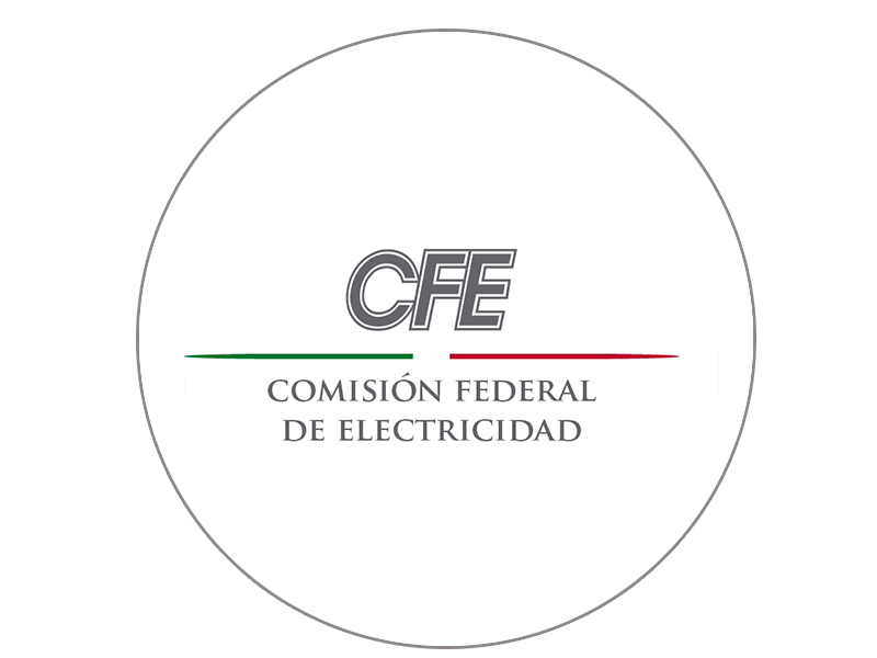 empresa de energía, de las mejores en el sector eléctrico a nivel mundial, con presencia internacional, fortaleza financiera e ingresos adicionales por servicios relacionados con su capital intelectual e infraestructura física y comercial.